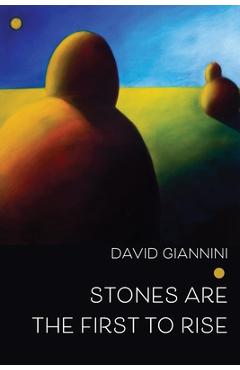 Coperta cărții 'Stones are the First to Rise - David Giannini'