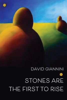 Coperta cărții 'Stones are the First to Rise - David Giannini'