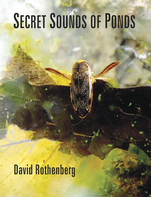 Secret Sounds of Ponds - David Rothenberg