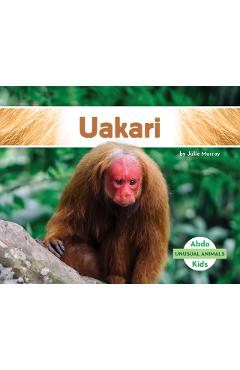 Uakari - Julie Murray