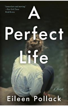 Poza produsului A Perfect Life - Eileen Pollack