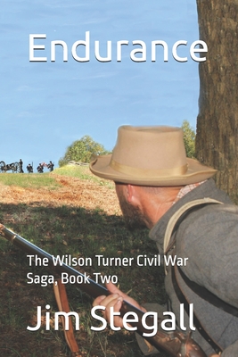 Endurance: The Wilson Turner Civil War Saga - Jim Stegall