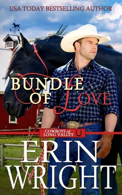 Bundle of Love: An Office Contemporary Western Romance - Erin Wright