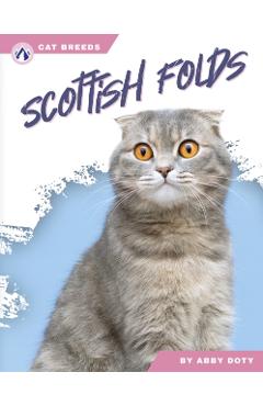 Poza produsului Scottish Folds - Abby Doty