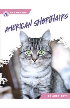 Poza produsului American Shorthairs - Abby Doty