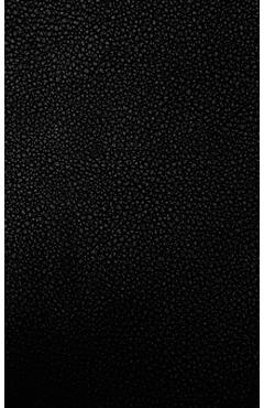 Coperta cărții 'The 4 Year Journal: Fully Customizable Daily Journal, Record Keeper, Gratitude or Prayer Journal, Event Log, or Diet'