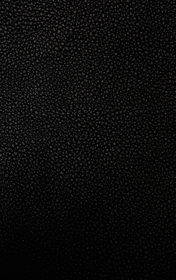 Coperta cărții 'The 4 Year Journal: Fully Customizable Daily Journal, Record Keeper, Gratitude or Prayer Journal, Event Log, or Diet'