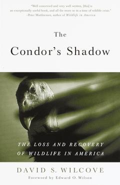 Coperta cărții 'The Condor's Shadow: The Loss and Recovery of Wildlife in America - David S. Wilcove'