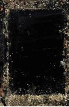 Poza produsului Baron Wenckheim?s Homecoming - László Krasznahorkai