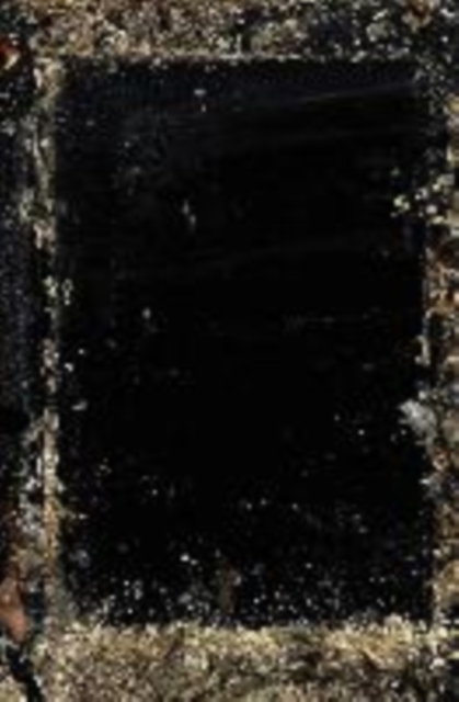 Baron Wenckheim?s Homecoming - László Krasznahorkai