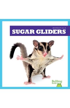 Coperta cărții 'Sugar Gliders - Natalie Deniston'