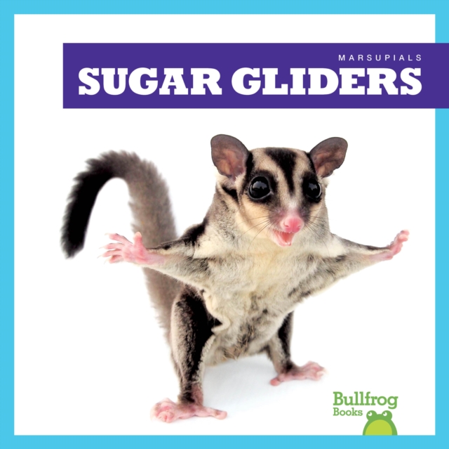 Sugar Gliders - Natalie Deniston