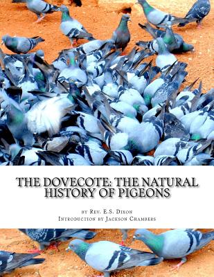 The Dovecote: The Natural History of Pigeons: Pigeon Classics Book 13 - Jackson Chambers