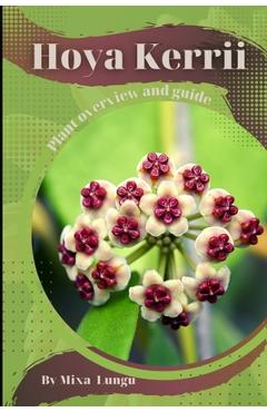 Poza produsului Hoya Kerrii: Plant overview and guide - Mixa Lungu