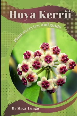 Hoya Kerrii: Plant overview and guide - Mixa Lungu