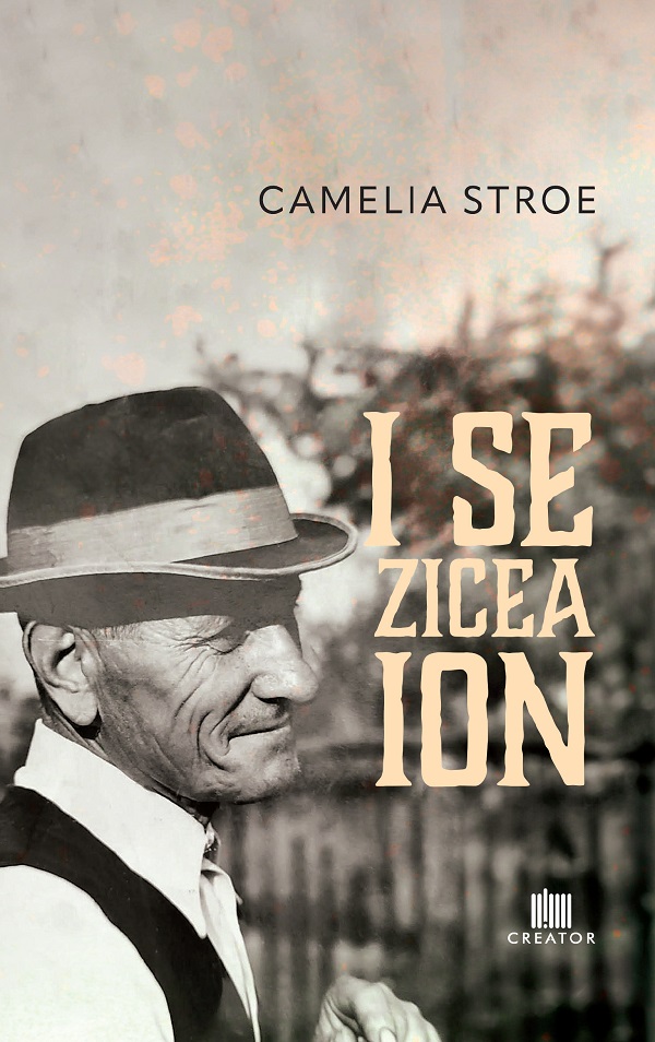 I se zicea Ion - Camelia Stroe