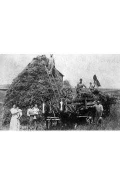 Mrs. Cook and the Klan: Booze, Bloodshed, and Bigotry in America's Heartland - Tom Chorneau