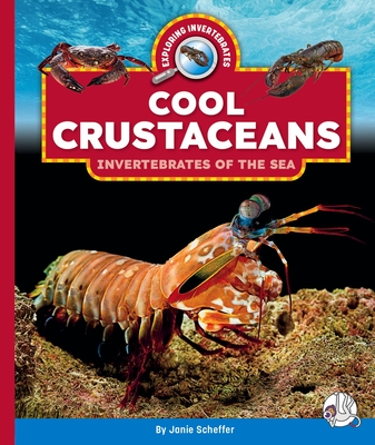 Cool Crustaceans: Invertebrates of the Sea - Janie Scheffer