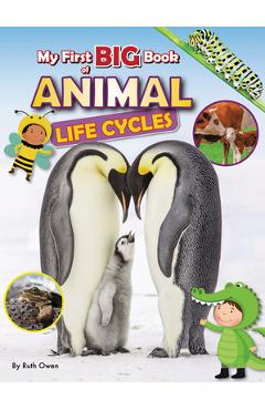 Poza produsului My First Big Book of Animal Life Cycles - Ruth Owen