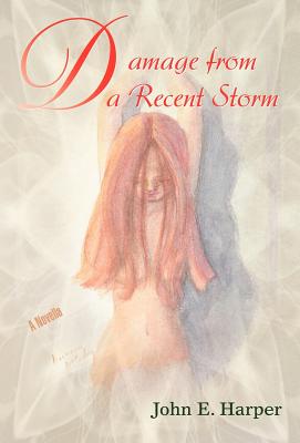Damage from a Recent Storm - John E. Harper