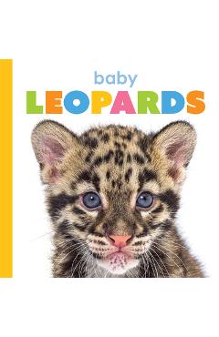 Poza produsului Baby Leopards - Meg Greve