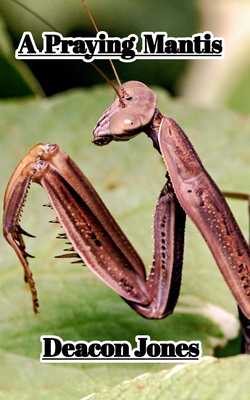 Coperta cărții 'A Praying Mantis - Deacon Jones'