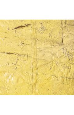 David Hammons -