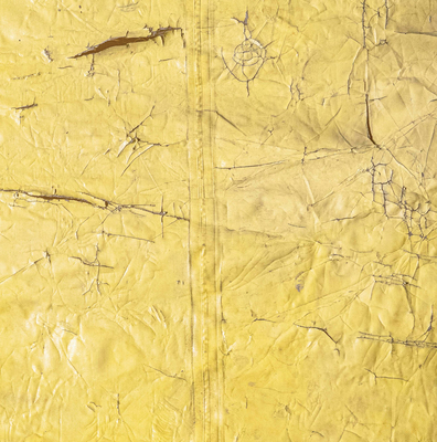 David Hammons - 
