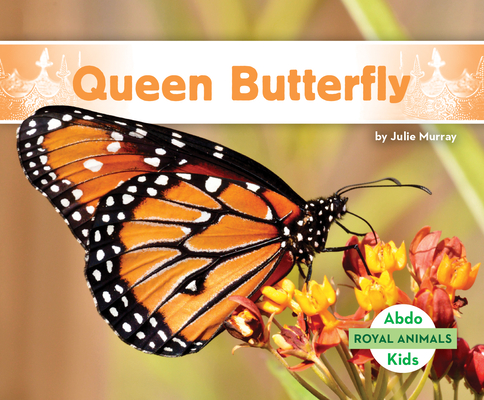 Queen Butterfly - Julie Murray