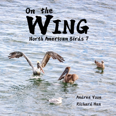 On the Wing - North American Birds 7 - Andrea Voon