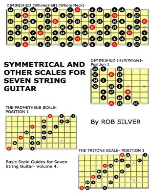 Symmetrical and Other Scales for Seven String Guitar - Rob Silver