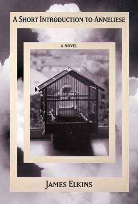 A Short Introduction to Anneliese - James Elkins
