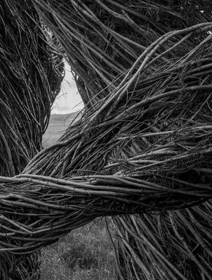 Patrick Dougherty James Florio: Sticks - Patrick Dougherty