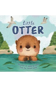 Nature Stories: Little Otter-Discover an Amazing Story from the Natural World: Padded Board Book -