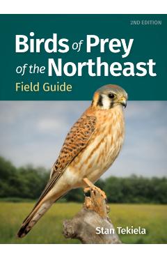 Birds of Prey of the Northeast Field Guide - Stan Tekiela