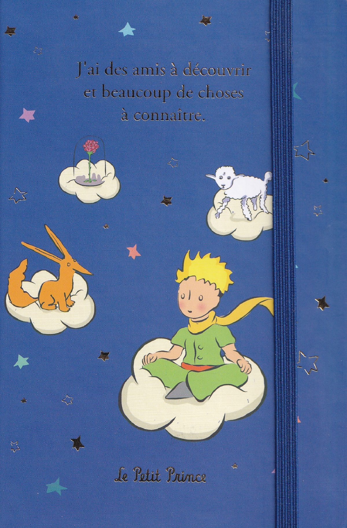 Carnet: Le Petit Prince. Beaucoup de choses