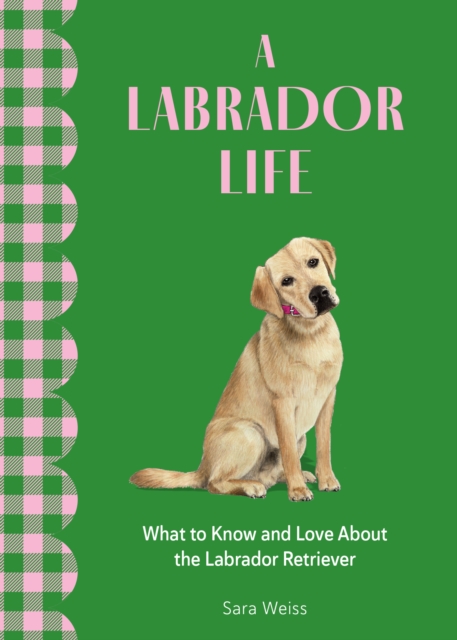 Labrador Life - Sara Weiss