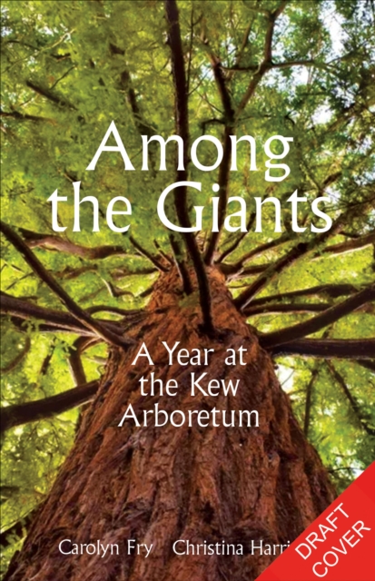 Among the Giants - Kew Gardens
