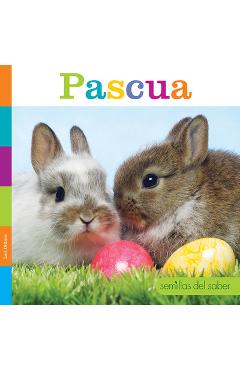 Coperta cărții 'Pascua - Lori Dittmer'