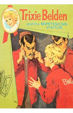 The Mysterious Visitor: Trixie Belden - Julie Campbell