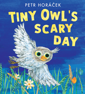 Tiny Owl's Scary Day - Petr Horácek