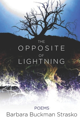 The Opposite of Lightning - Barbara Buckman Strasko