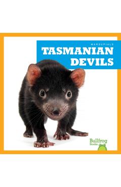 Poza produsului Tasmanian Devils - Natalie Deniston