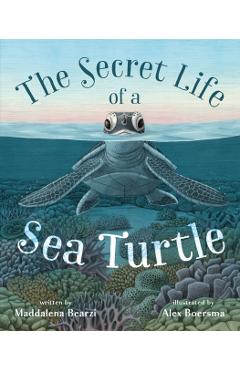 The Secret Life of a Sea Turtle - Maddalena Bearzi