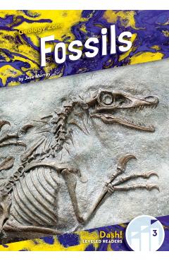 Fossils - Julie Murray