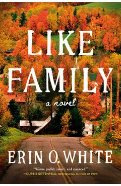 Coperta cărții 'Like Family - Erin White'