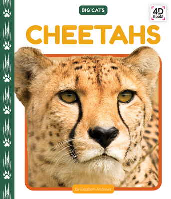 Cheetahs - Elizabeth Andrews