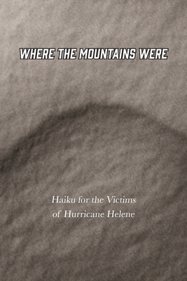 Where the Mountains Were - Joshua Gage