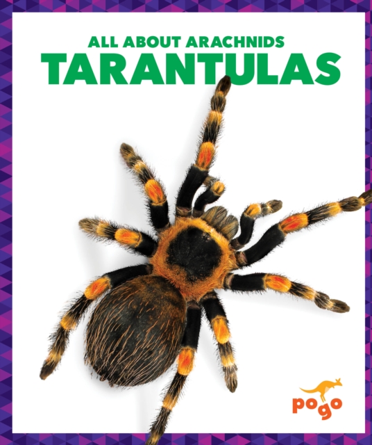 Tarantulas - Becca Becker