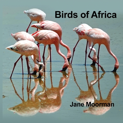Birds of Africa - Jane Moorman